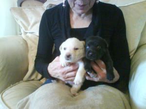 3weeks old