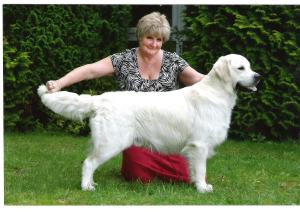 Bonniefold Versace with Canina - Santa
