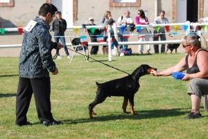 4 months DCF show May 2010
