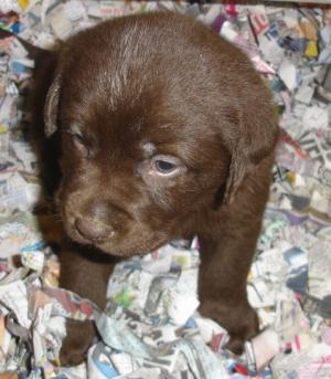 Only one day old