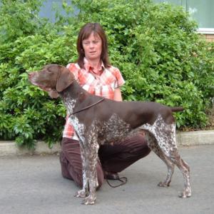 Tessie