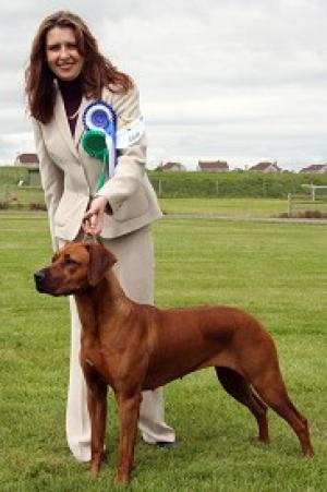 Ir/Int Ch Veldtkammer Just Chillin at Rottzridge