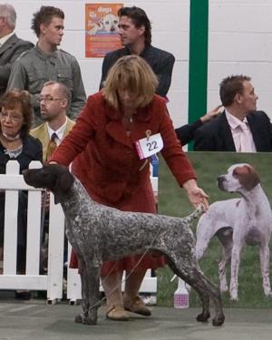 Sterling at the Eukanuba Finals