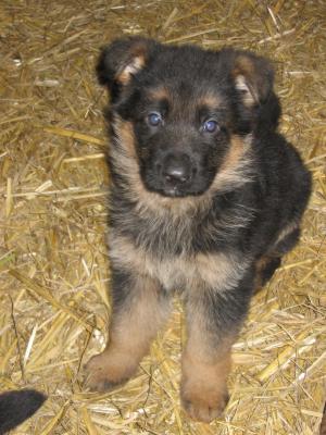 waiting patiently for mum