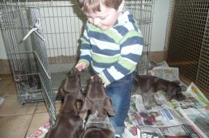 my nephew with pups