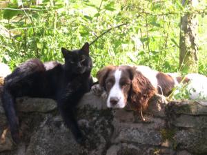 Millie and her special friend Sam