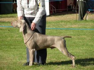 Axel (Darlington 09)