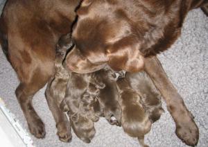 Just hours Old