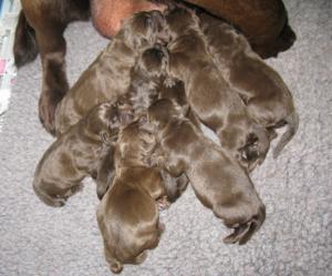 Just a few hours old