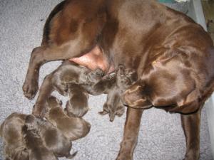 Only a few hours old