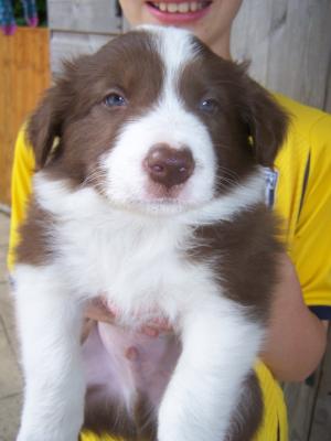 Boy 6 weeks