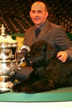 Our boy Phil after his win at Cruft's 2008
