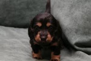 Little cutie