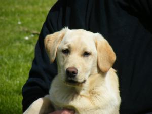 Mandy's Litter