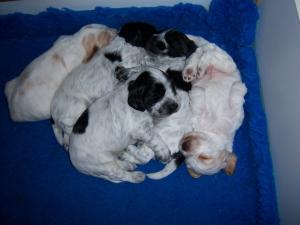 Snuggling down!