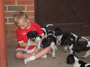  Arnold and Pups 5 weeks old