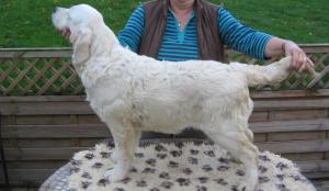 Kiri puppy from previous litter