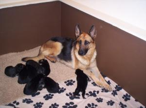 Proud Mum!