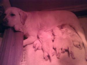 Just born