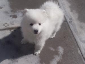 you lookin at me!