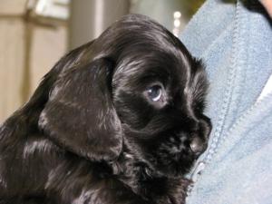 ONE OF THE ADORABLE BOYS AGAIN