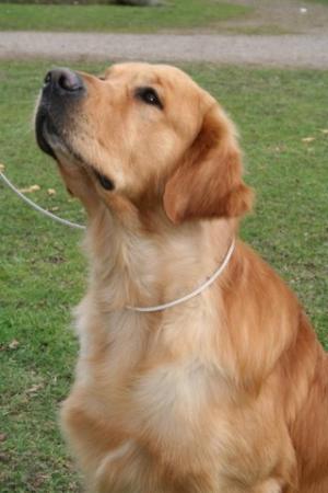 Largymore Galeas Salazar