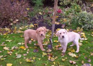 Playtime in the sunshine!!