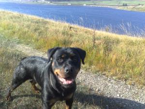 enid at 13mths  