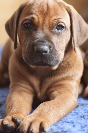 who's a pretty girl then!