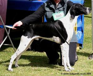 The father Raigmore Dusk till Dawn JW CJW '09