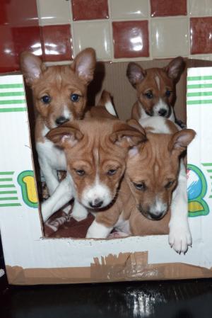 a box full of trouble