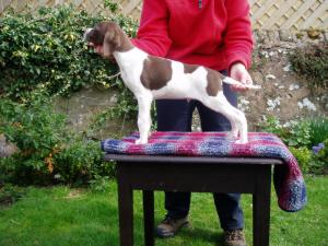 The liver boy at 6 weeks