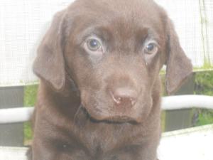 picture taken at 6 weeks