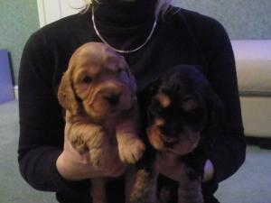 2 beautiful girls