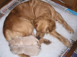 Ruby with her two boys