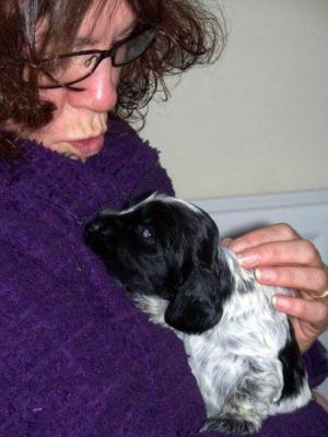 puppy cuddles