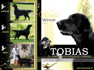 TOBIAS