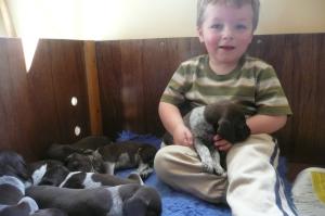 Nephew and pups
