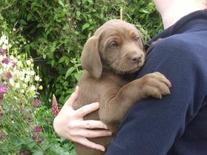 Having a Cuddle