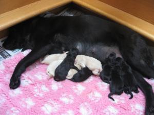 Just born 26.5.11