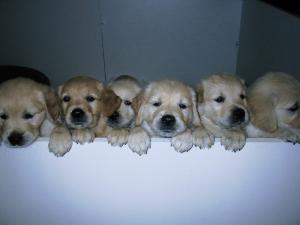 6 weeks and wanting to explore the world.