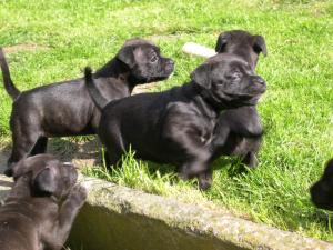 no names ! they wont stand still