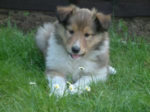 One of our new additions