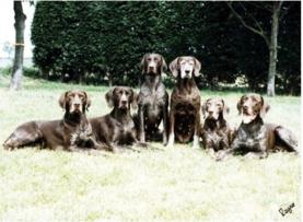 A group of six typical Barleyarch Champions