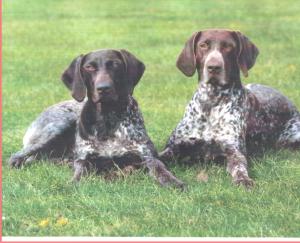 Katie (right) and her daughter Macie