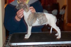  Paris at 8 weeks