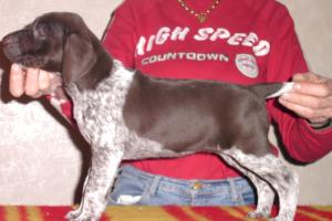 Six weeks old