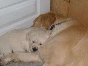 Having a cuddle with mum