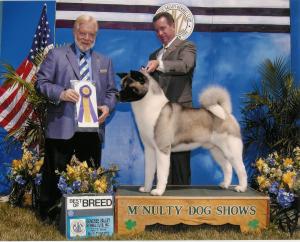 Sire: Lennox