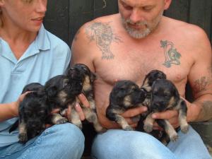 The Girls - 14 Days Old - 04/08/2006